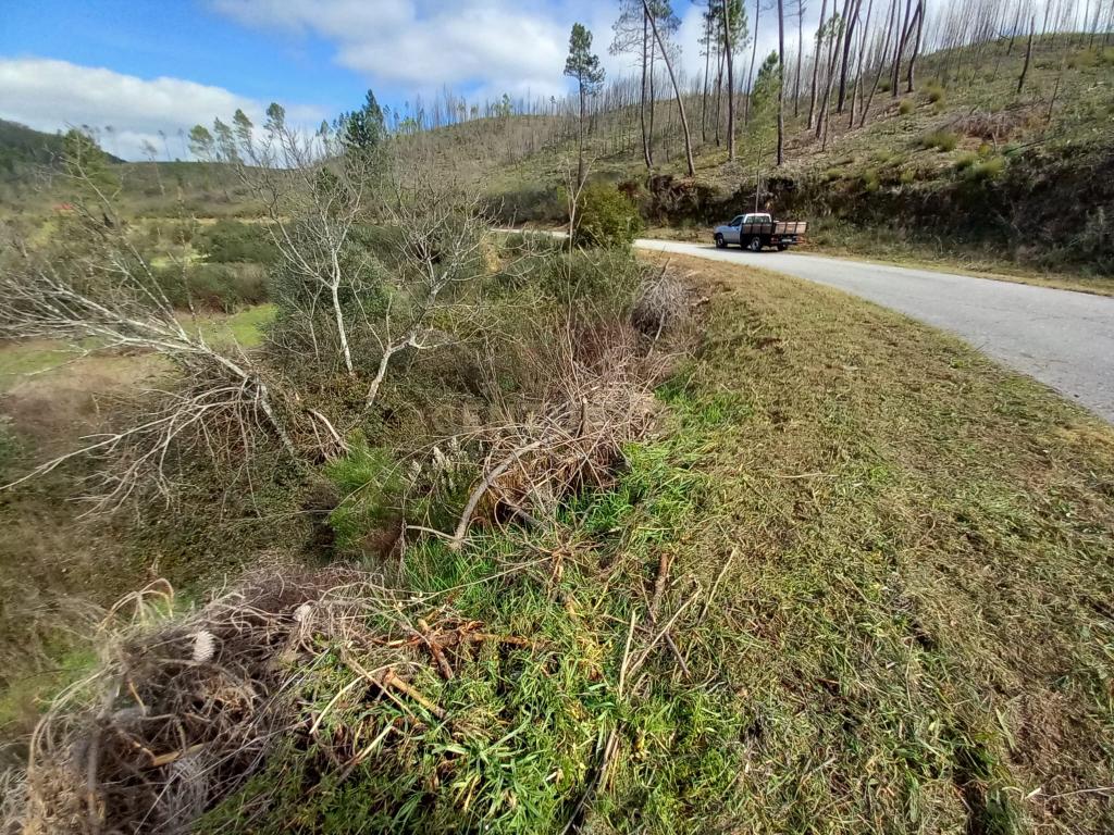 Terreno Rustico com 1450m2 Cerejeira-Alvito da Beira - Image 8